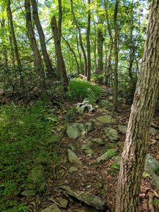 Rocky climb along the southern cutback of the Switchplate Trail rocky loop.