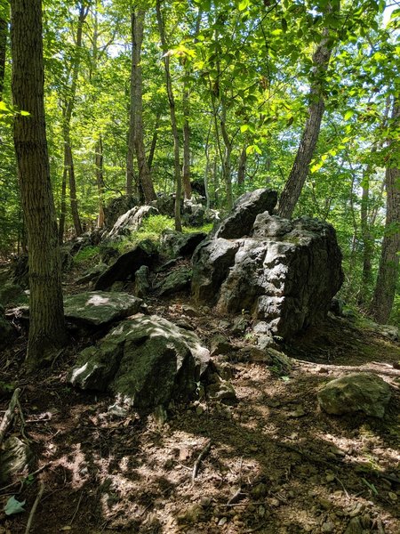 Minor rock scramble along the top of the ridge on the Switchplate rocky loop trail.