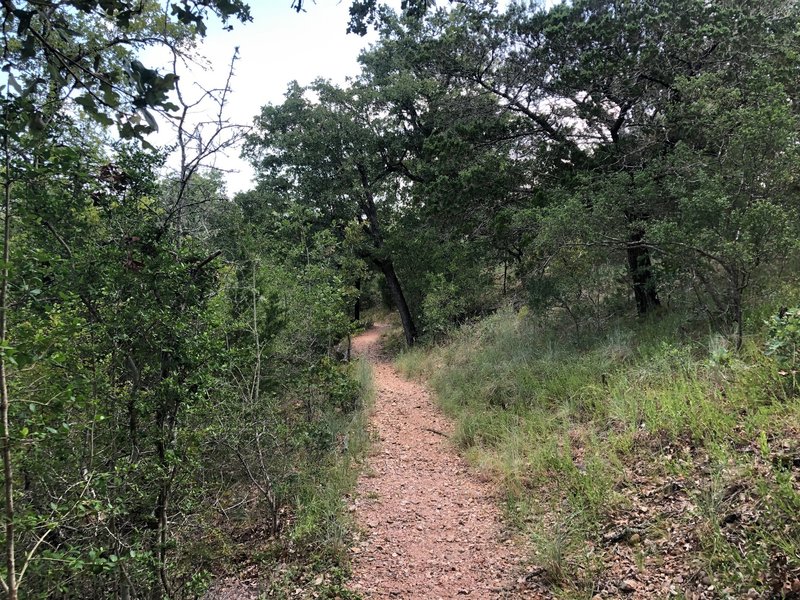 Narrow and rocky trail that totally immerses you in nature.