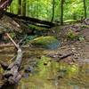 Gentle stream crossing along the Daniels Trail.