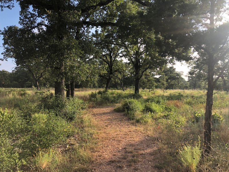 The morning sun looked great on the field at the beginning of the trail!