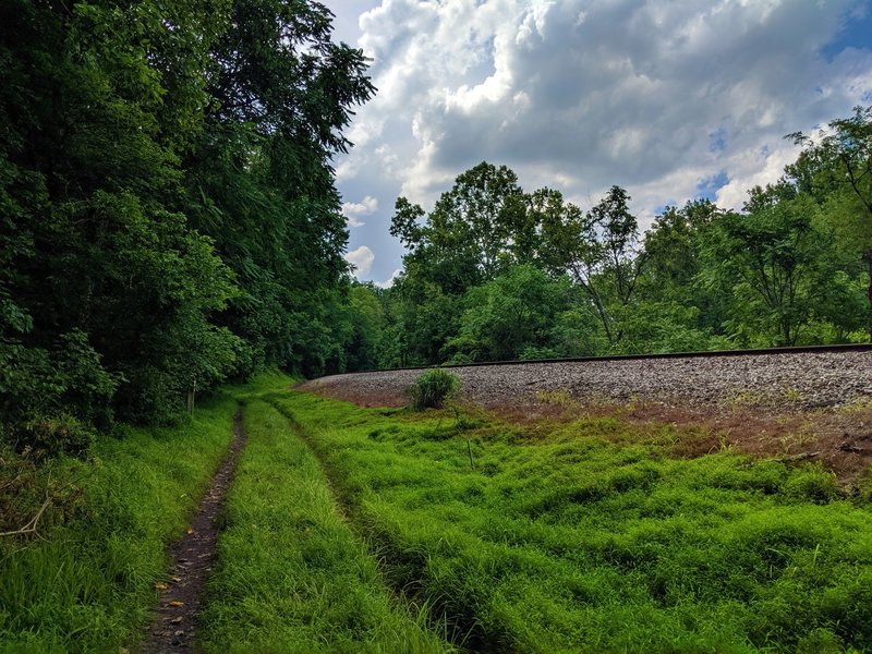 View headed north along the Railroad Access Road Trail.