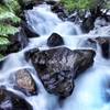 Pitkin Creek from the bridge near the trailhead.