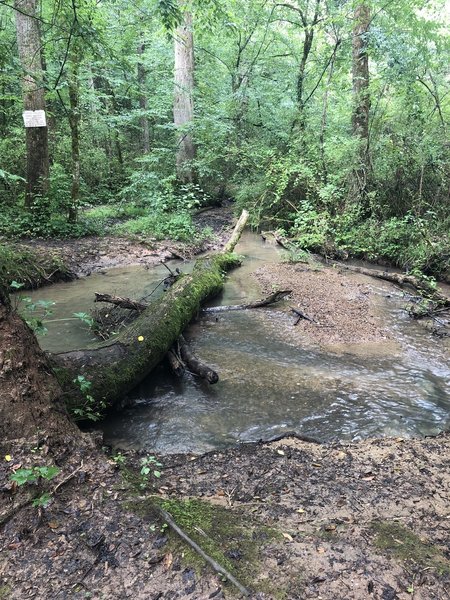 Two Creek intersection.