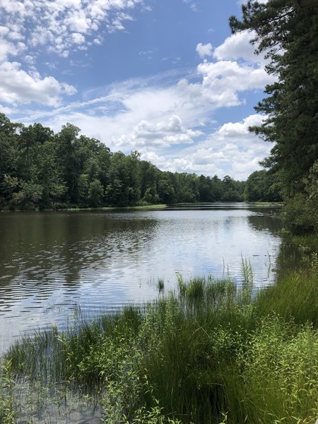 Beautiful hiking around the lake