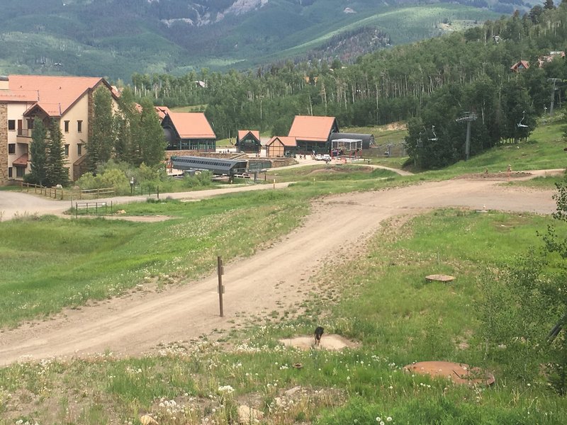 Bike park section near Gondola and the Mountain Village core.