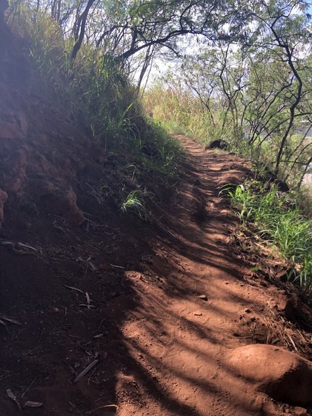 Red dirt trail.