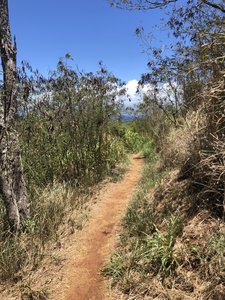 Nice reliable footing.