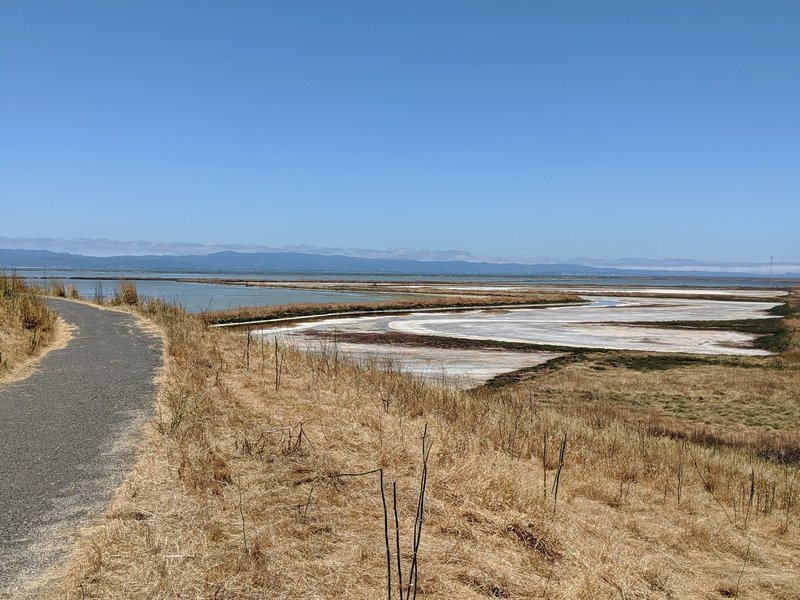 The Bayview Trail intersects the Alameda Creek Trail.