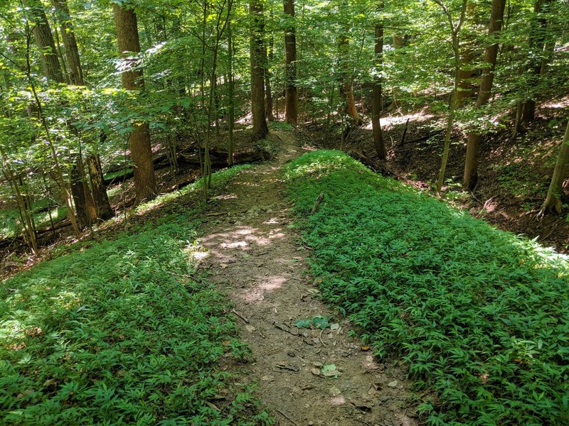 View of a trail winding down a narrow ridge.