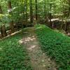 View of a trail winding down a narrow ridge.