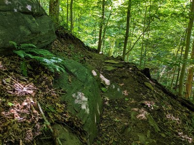 A rocky stretch along a cutback on the Allenford Trail.