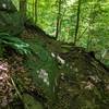 A rocky stretch along a cutback on the Allenford Trail.