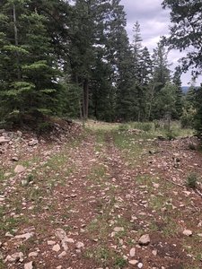 Shortcut Trail T5007B