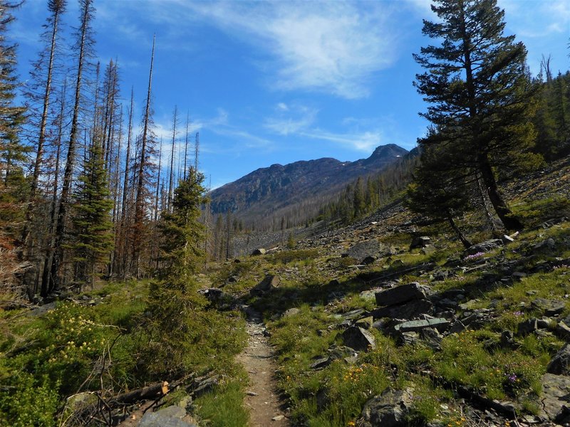 View of Arrastra Mountain.