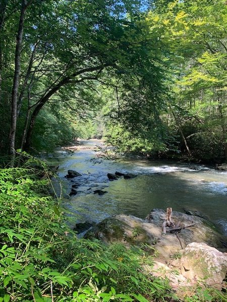 Laurel River Trail.