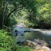 Laurel River Trail.