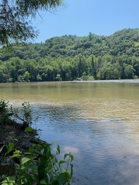 Laurel River Trail