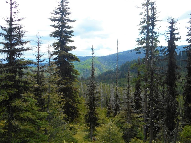 View from Porcupine Basin.