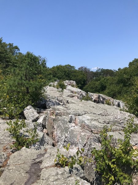 Quartzite that composes the Wolf Rock formation.