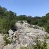 Quartzite that composes the Wolf Rock formation.