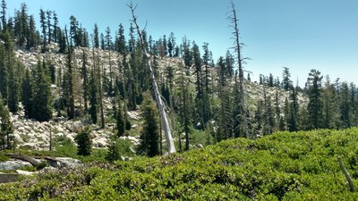 Top boulder field to cross. Stay high out of the brush for easier routing.