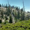 Top boulder field to cross. Stay high out of the brush for easier routing.