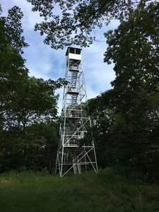 Beebe Hill Fire Tower - climb up for a beautiful 360 view!