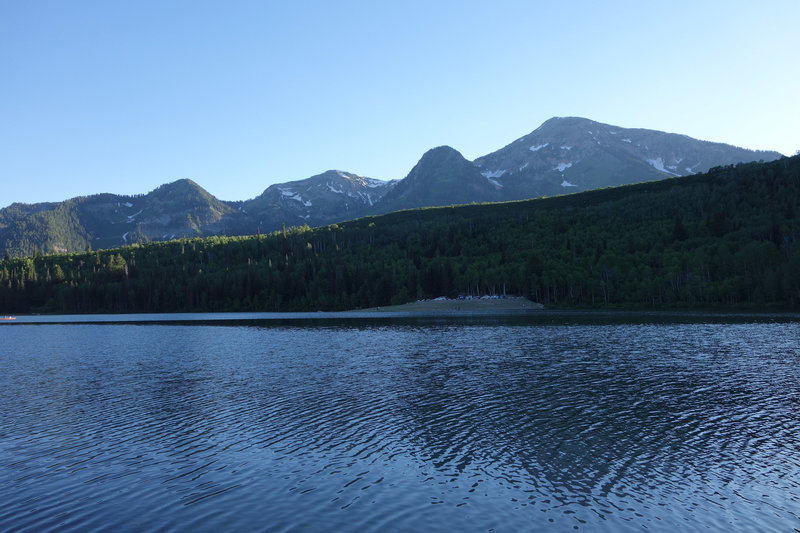 Fading sunlight on the treetops beyond Silver Lake Flat reservoir.