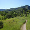 Middle Fork trail near the Green Pond trailhead at the height of summer.