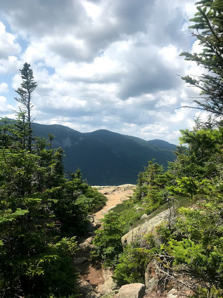 Trail to one of the lookout points on the way up Mt. Webster.