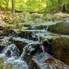 Small waterfall along the Sawmill Branch.