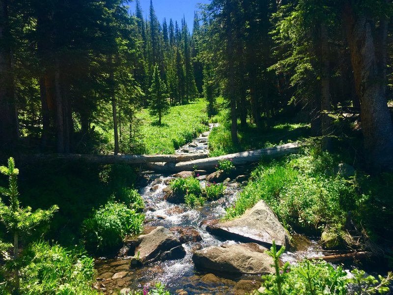 Creek along the Columbine Lake Trail, July 29, 2019.