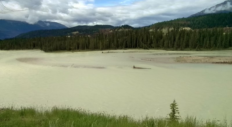 The broad and mighty Athabasca River, looking southwest from atop a knoll along the Athabasca River Trail.