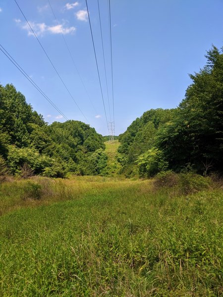 View down the open field right-of-way along the Pigs Run Trail.