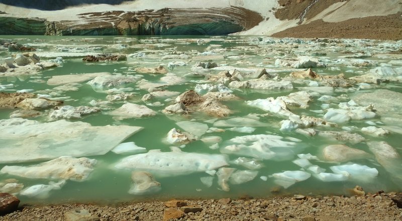 Cavell Pond with icebergs from Angel Glacier and ice caves on its far side.