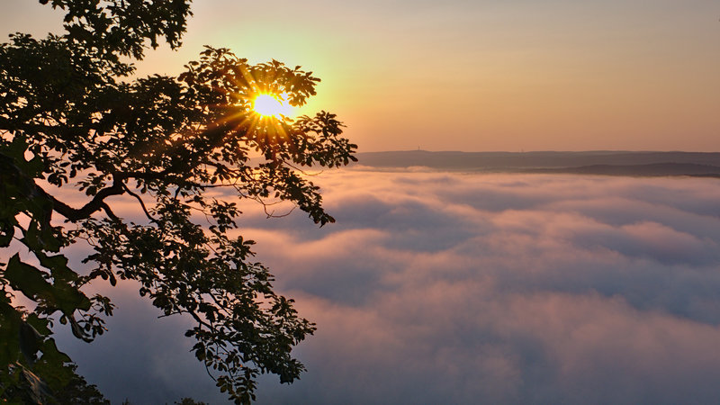 It's not often you are above the clouds in eastern Pennsylvania, but the cool Delaware River often creates a cloud inversion below the ledges of Cliff Park in the Delaware Water Gap National Recreation Area.