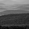 A low layer of light morning fog off the Appalachian Trail in northwest New Jersey.