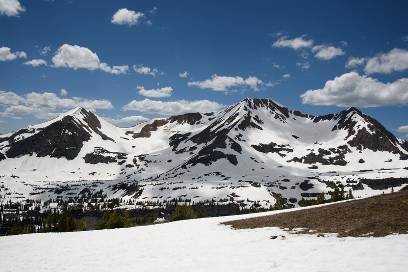 View of the Ruby Range from top of the ridge