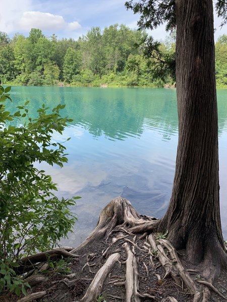 Green Lake has a unique color due to its high mineral content.