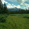 The trail looking south, approaching the Maligne River crossing from the north, in the Maligne River Valley.
