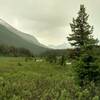 The Maligne River (center) in the Maligne River Valley, looking north from the west side of the Maligne River.