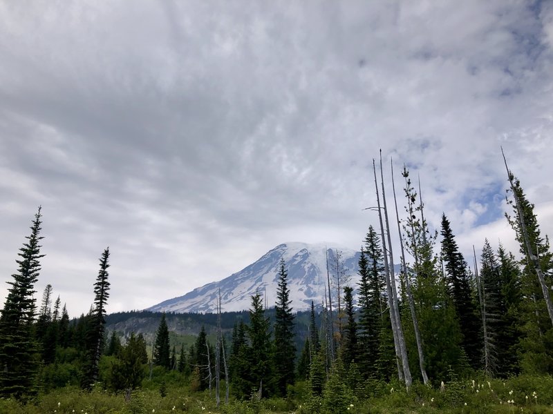 View of Mount Rainier from the Snow Lake trail.