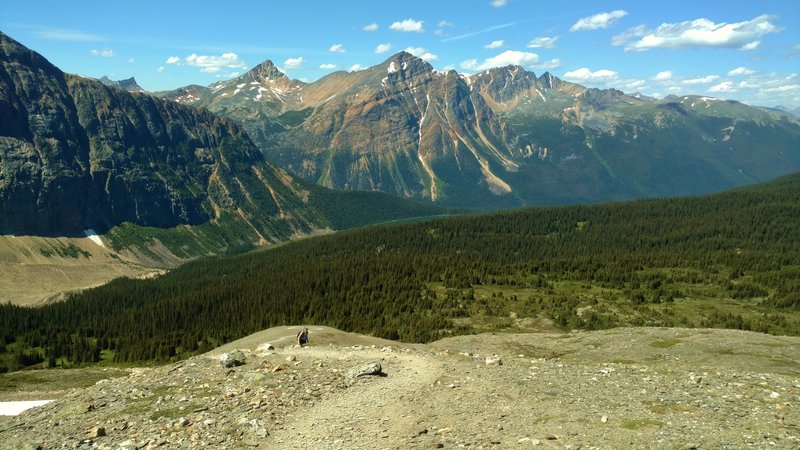 Climbing to the second Cavell Meadows viewpoint. The views are definitely worth the climb!