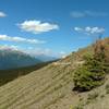 The views to the northwest from high on Cavell Meadows Trail.