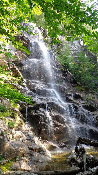 Beaver Meadow Falls