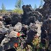 Indian paintbrush among the lava.