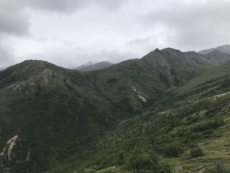 View from the Mt. Healy Overlook Trail.