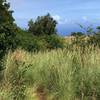 View from shelter toward cliff edge - this is to a vista; not the continuation of the trail!