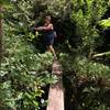 This is a plank walk across a small ravine about 0.75 miles from the Nualolo Trail.